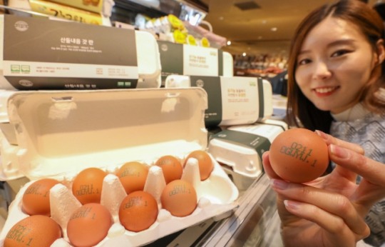 현대백화점 오늘 새벽에 낳은 신선한 계란이 왔어요