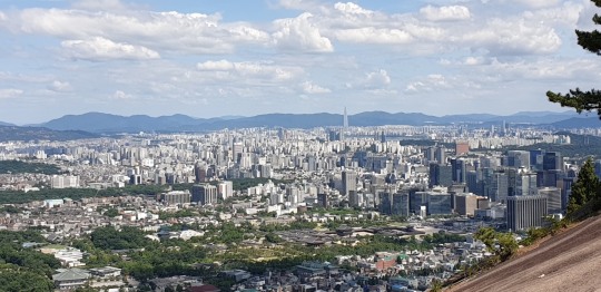 금리압박에 서울 아파트 경매건수 급증…물건 많지만, 유찰 사례도 증가