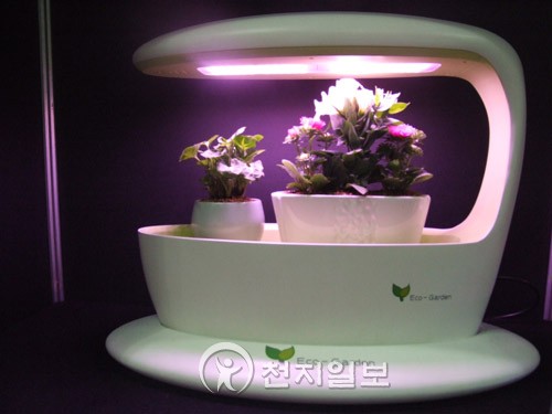 [포토] 식물도 좋아하는 LED