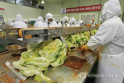 배추 없어 김치공장 울상