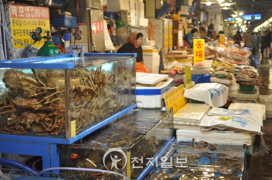 [포토] 노량진 수산시장, 큰 눈에 발길 뚝!
