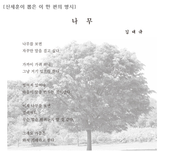[신세훈이 뽑은 이 한 편의 명시] 나    무 - 김 대 규