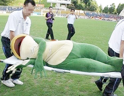 맷도리 이미지
