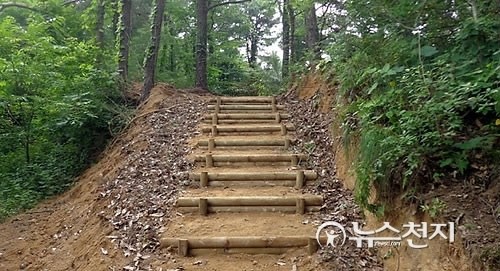 세종시 전월산ㆍ원수산 11.8㎞ 둘레길, 15일 개방