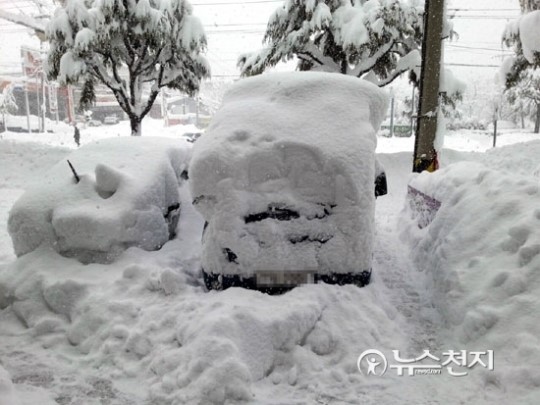 [포토] 눈사람이 된 자동차, 동해시 평릉동