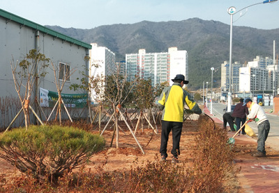 [해남] 읍내 모퉁이 숲 조성 완료