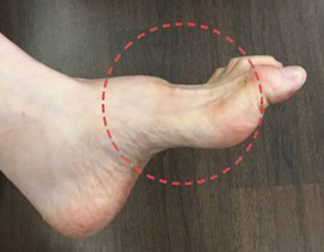 이재현 CJ 회장, 결국 재상고 포기… 특사 포함되나