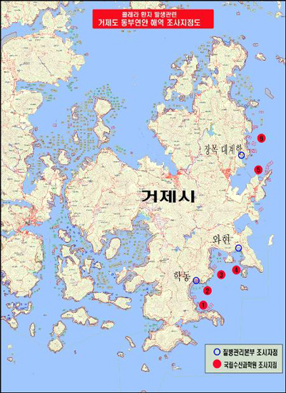 해수부-질본, 거제 동부 해역 콜레라 특별조사 한다