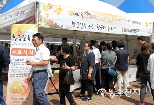 울산시, 울산황금배 황금실록 홍보