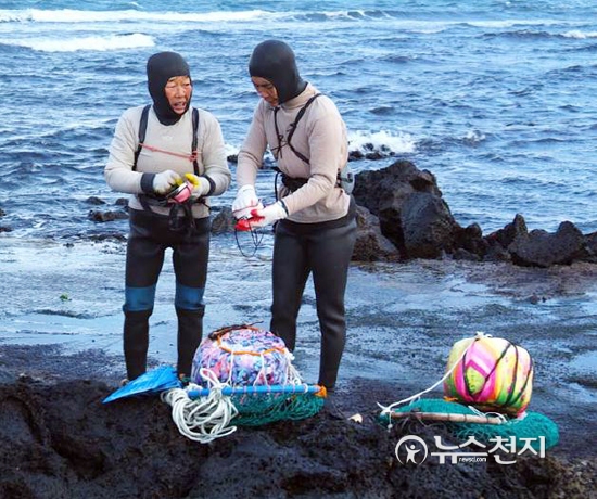 [유네스코등재 제주해녀문화] ③벗과 함께 한 해녀물질, 약자 배려했다
