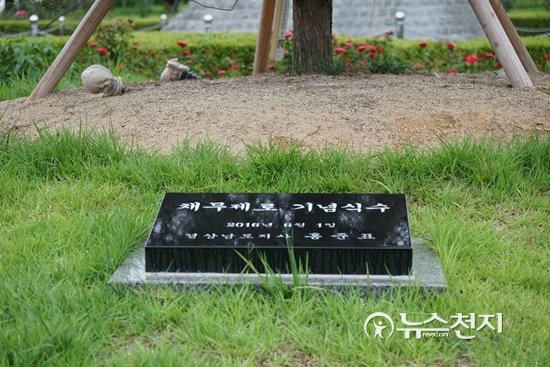 [경남] 도청 정문 앞  채무제로 식수  앞으로 어떻게 되나?