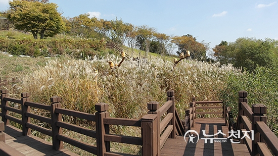 [아산] 가을의 정취가 깊어가는 영인산 자연휴양림