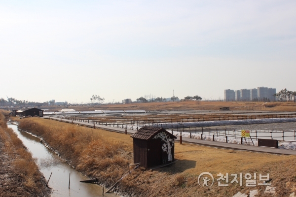 [인천] 영종 씨사이드파크… 힐링 관광지로 변신