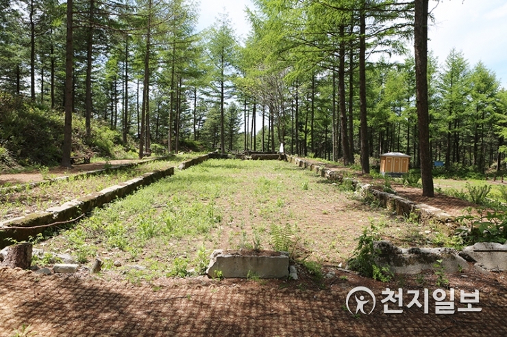 [쉼표] 천연의 보물 품은 횡성 태기산에 반하다