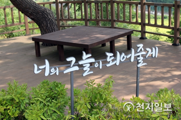 [쉼표] 소리쳐라 레포츠 홍천… 두통까지 날려주는 힐링