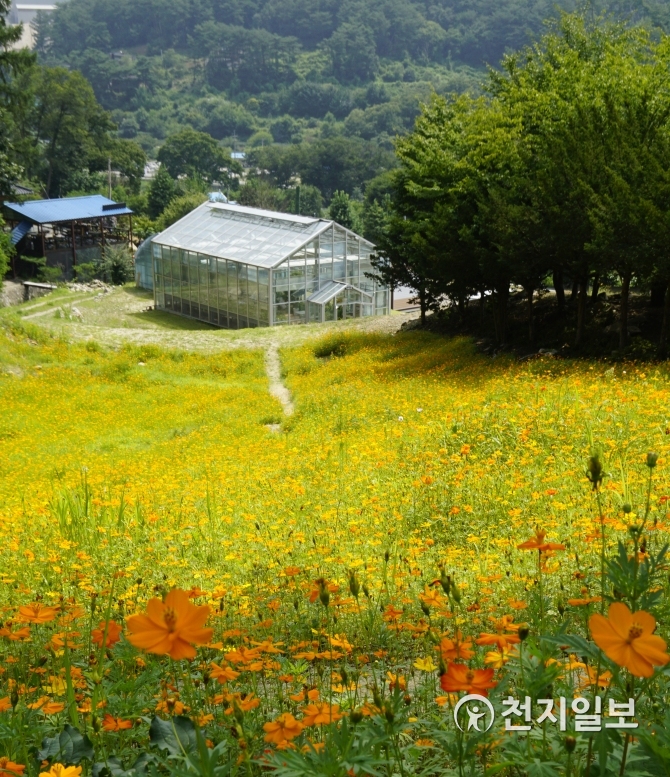 [쉼표] 소리쳐라 레포츠 홍천… 두통까지 날려주는 힐링