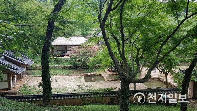 [강진] 백운동 원림, 국가 문화재 명승 지정 예고