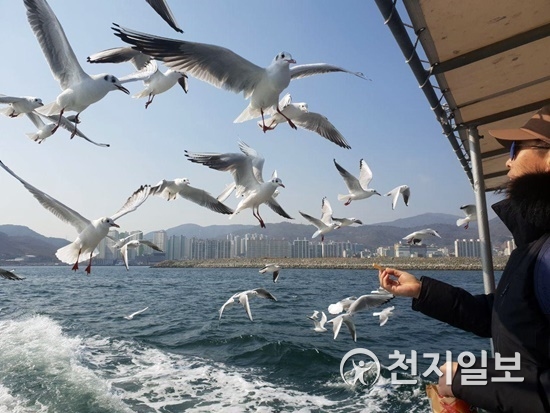 [지역명소] 복(福)주는 황금돼지섬, 돝섬으로… 올해도 잘 부탁해