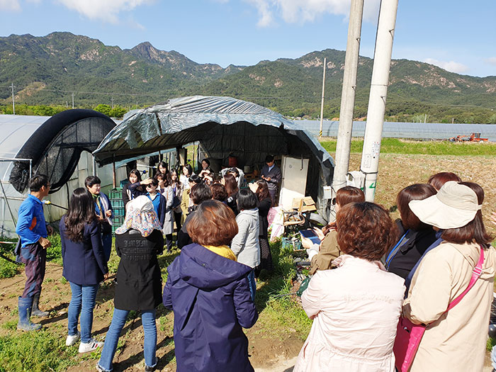 서울친환경유통센터, 학교급식 교사 대상 친환경농산물 산지체험