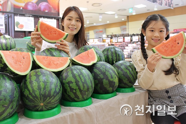 롯데쇼핑·롯데마트, 함안 수박이 왔어요