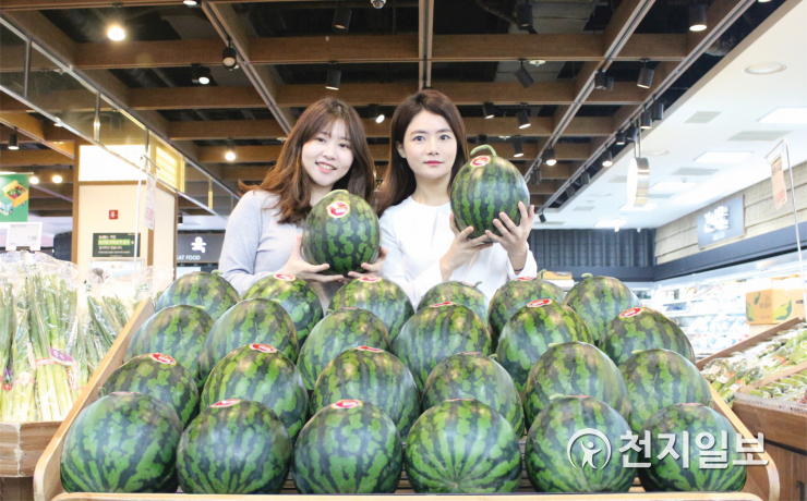 봄과 함께 찾아온 함안 수박, 하나로마트에서 만나보세요