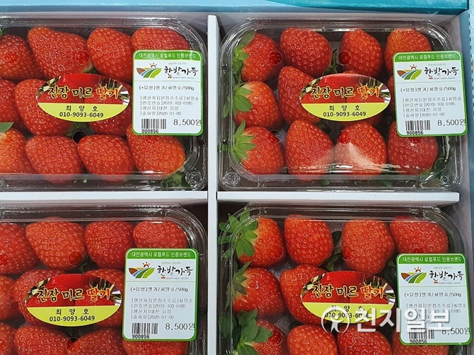 대전시 한밭가득 로컬푸드 대표 공동브랜드로 육성