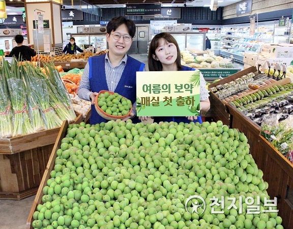 농협 하나로유통 알알이 잘 여문 매실이 하나로마트 찾아왔어요