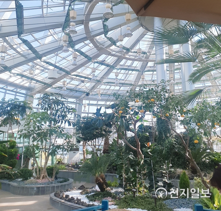 무안군 회산백련지, 쉼터로 탈바꿈 3월중 문 연다