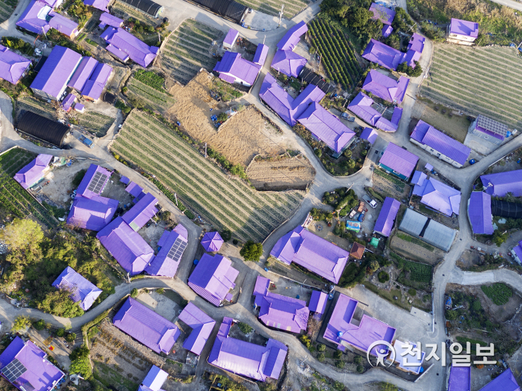 전남 신안군 반월·박지도 퍼플섬 언택트 관광지 각광