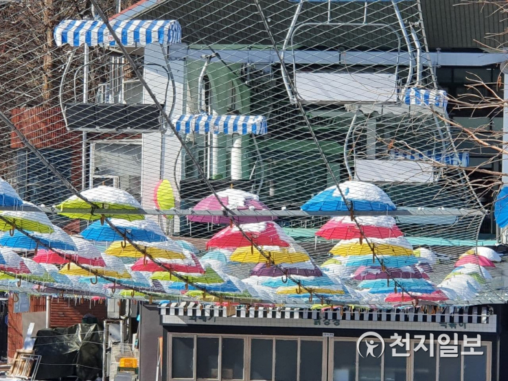 [천지포토] 빨강‧파랑‧노랑 우산