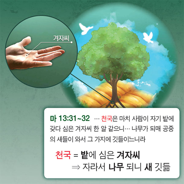 [성경교리비교<49>] 마태복음 13장 씨가 자란 나무에 새가 깃드는 천국은?