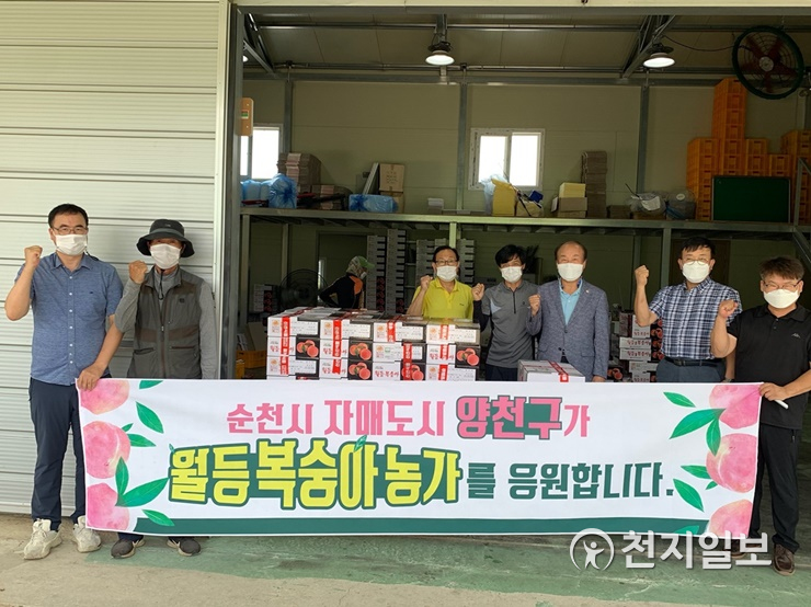 순천시-서울 양천구, 월등복숭아 농가 돕기 나서