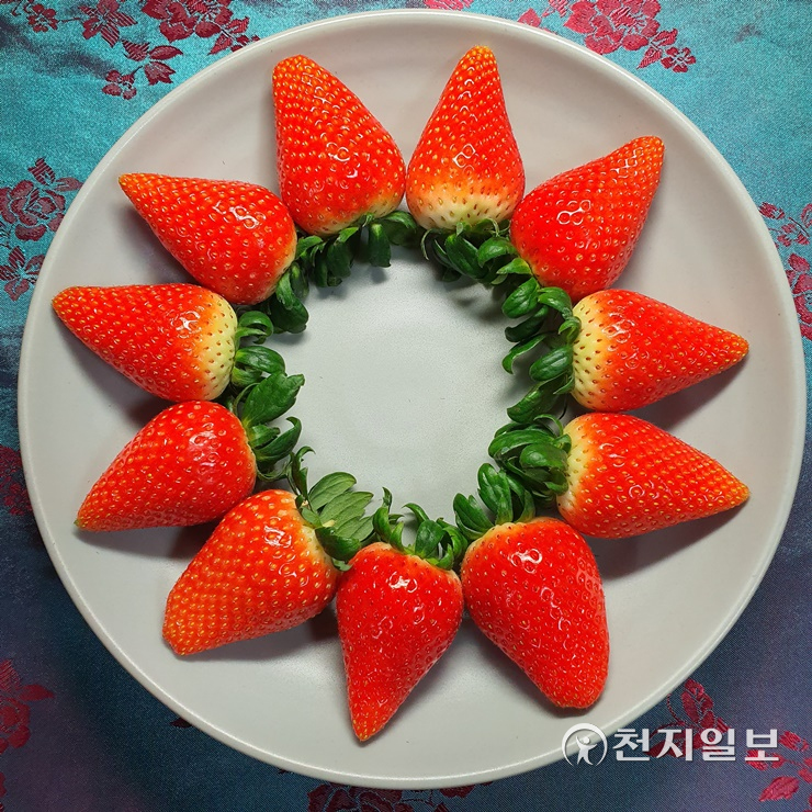 독특한 향에 새로운 맛, 신품종 충남 딸기 맛보세요