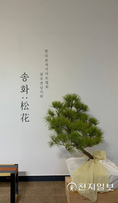 한국의 멋·전통미 살린 보자기… 송화(松花)와 어우러진 이색 전시