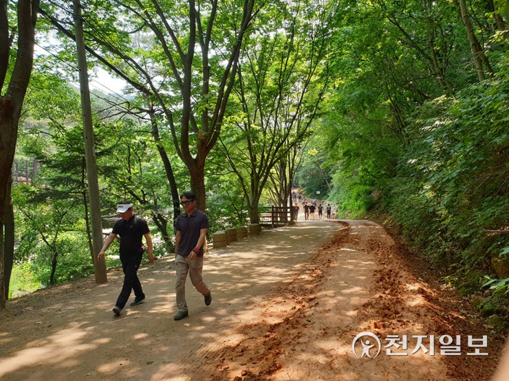 [지역명소] 대전 계족산 황톳길, 맨발로 걷다보면 행복호르몬 솔솔… 꿀잠에 건강회복까지