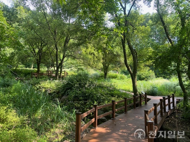 용인특례시, 자연휴양림 야생화단지 산책로 새 단장… 5억원 투입