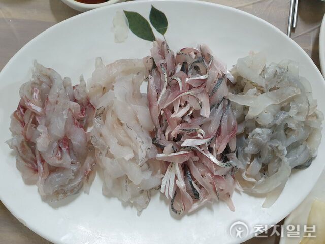 [지역명소] 보령해저터널과 대천항 수산시장 달빛등대로… “싱싱한 회 맛보고 달빛 별빛 색다른 낭만을”