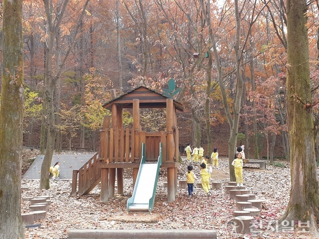 [지역명소] 대전 동구 상소동 산림욕장과 오토캠핑장… “이국적 돌탑 사이로 낙엽 밟으며 느끼는 만추”