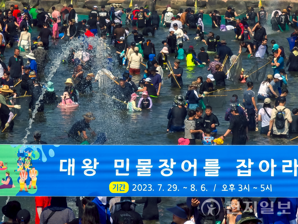 [포토] 장흥 물축제서 대왕 민물장어 잡기하는 관광객들