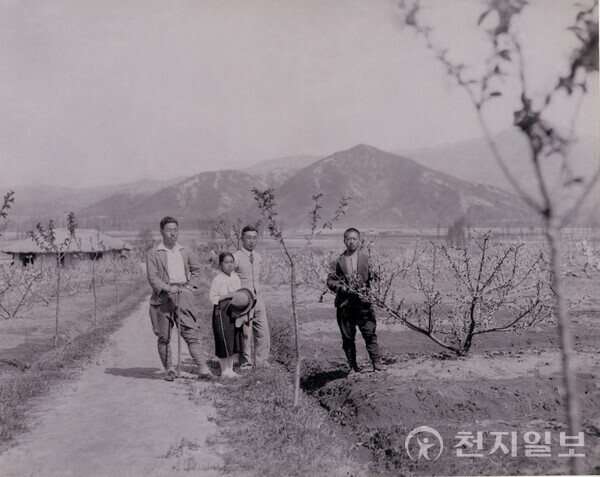 [지역축제] 이천장호원햇사레복숭아축제, 풍부한 과즙·달콤한 향 이천햇사레복숭아 향연으로 초대