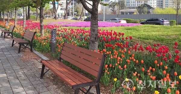 연수구 송도튤립축제…봄테마 구립관악단·전통예술단 공연