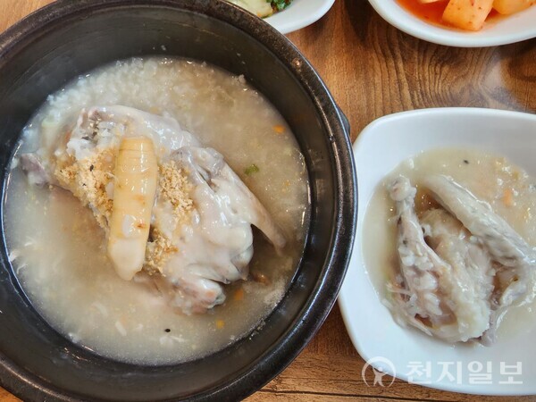 [영상·포토] 금산삼계탕축제 약초체험관 김진수 7080통기타라이브