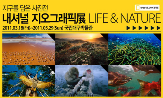 지구 소중함 담은 내셔널 지오그래픽展 대구서 개최