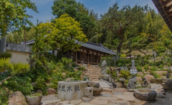 [주말 가 볼 만한 곳] 닮은 마음 편한 사람과 떠나자~!... 초록 머금은 보성 여행