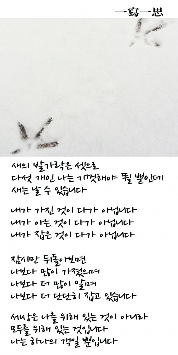 [나무종의 마음스케치] 일사일사(一寫一思) 셋
