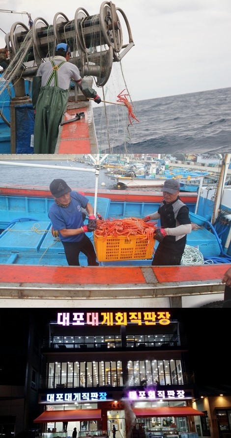 갓 잡은 수산물 생생함 그대로… 속초 대포항 맛집 대포대게회직판장