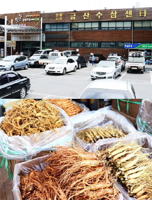 금산수삼센터 금산인삼, MBN 헤이데이 시키면한다에 소개