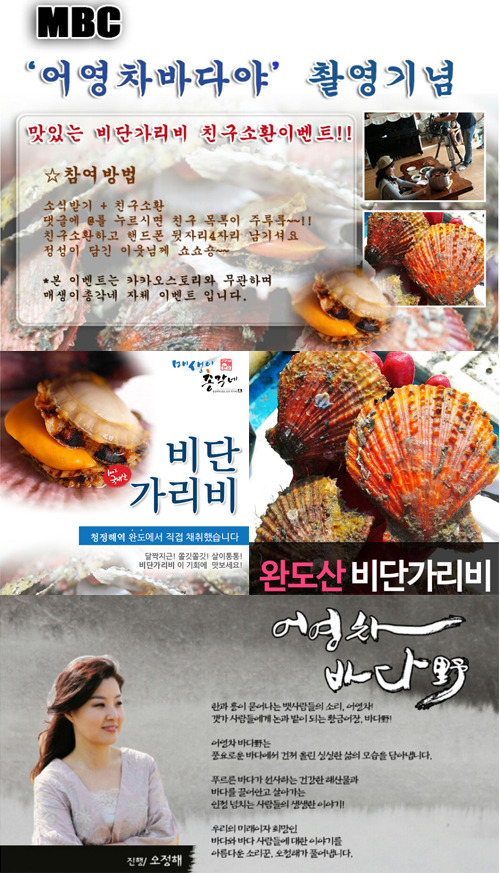 매생이총각네 비단가리비 mbc 어영차바다야 전격출연! 시청자 이목 기대!