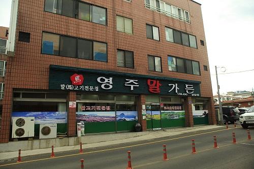 오직 영주말가든에서만 누릴 수 있는, 제주도 말고기 맛집 코스요리