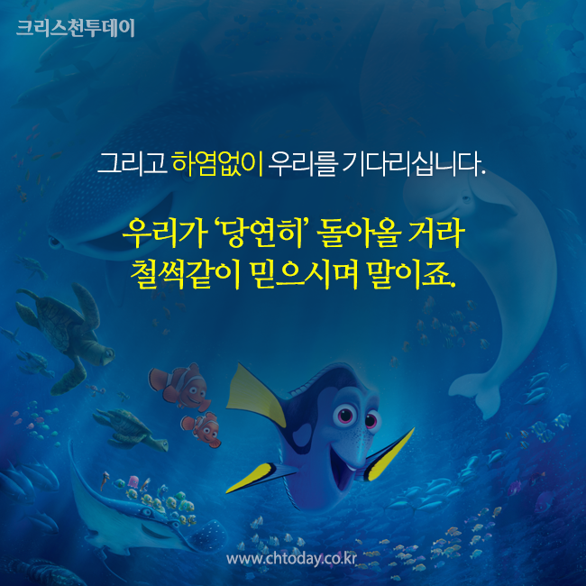 [카드뉴스] 영화 <도리를 찾아서>